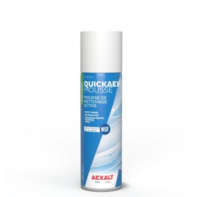 Mousse de nettoyage active multi-surface QUICKAEX MAG900 (650ml) - Aexalt