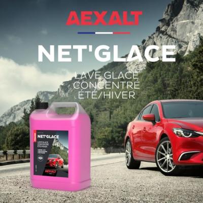 Lave glace 4 saisons été/hiver antigel sans méthanol parfum fraise (5L) LG143 - Aexalt