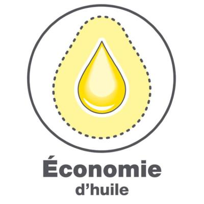 Huileur à branche manche télescopique Nanovib 147559 - Leborgne